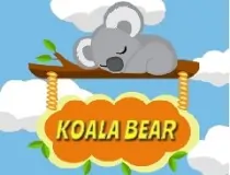 Koala Bear