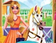 Princess Pet Treatment